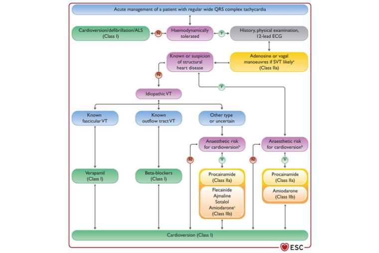 Topic of the Month Ventricular arrhythmias